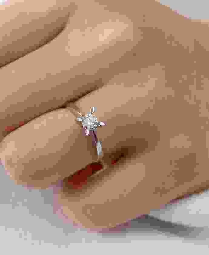 Shop Secondary Image Shop Secondary Image